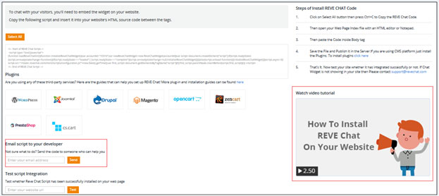 Reve chat widget script customization