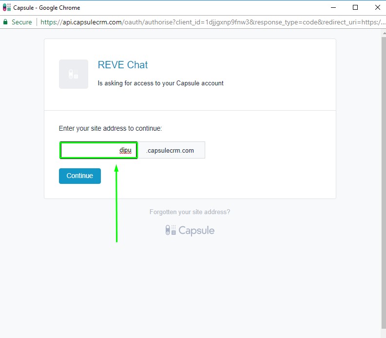 capsule-crm-live-chat-integration-step-7