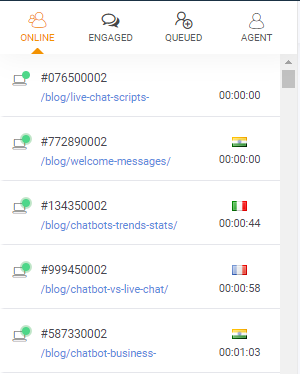 Chat window - live view of visitors