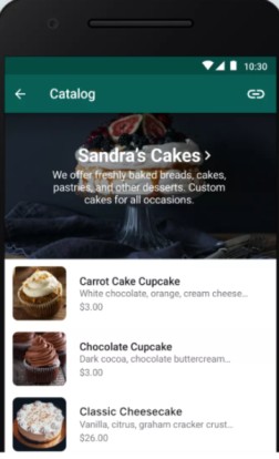 whatsapp-for-product-display