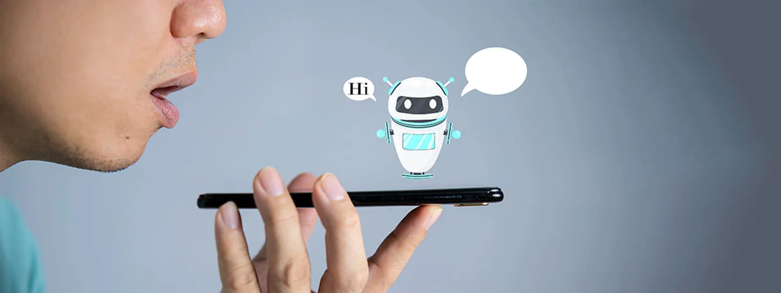 Difference between banner chatbot and voicebot