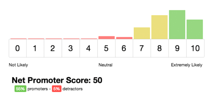 Net Promoter Score Formula