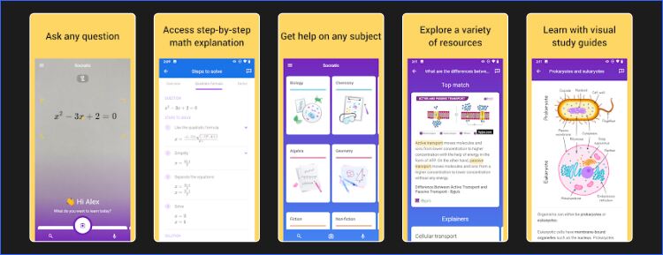 Socratic AI mobile app 