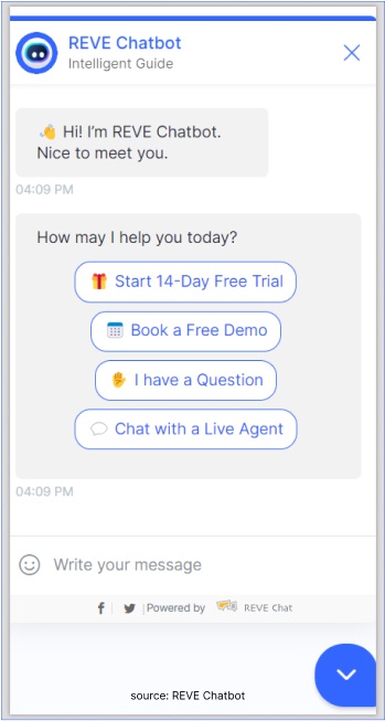 REVE Chatbot