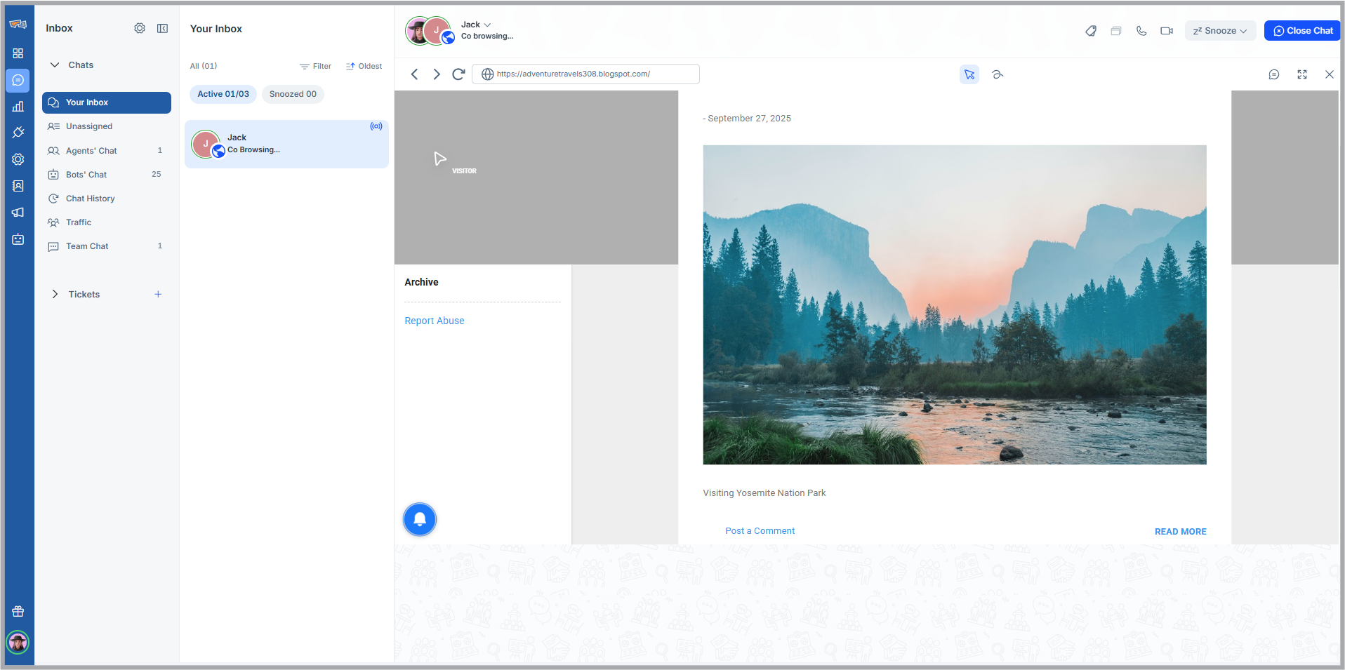 Co-Browsing | REVE Chat