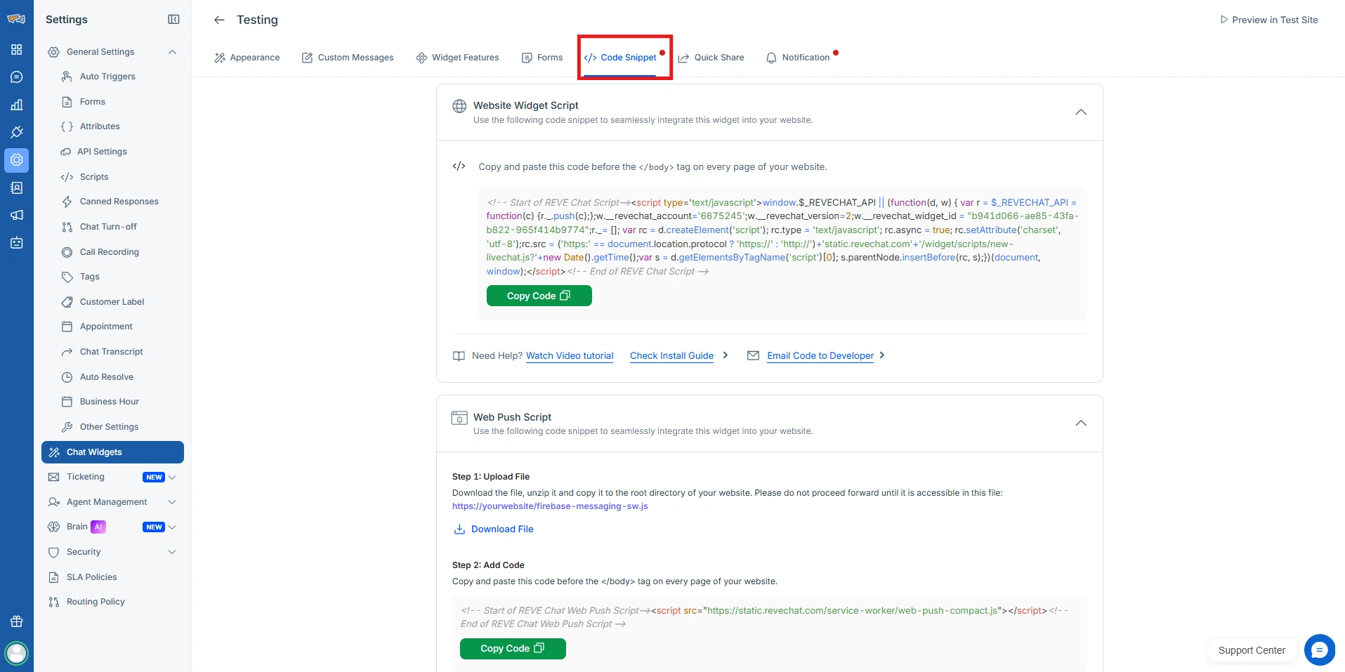 REVE Chat Widget Code Snippet