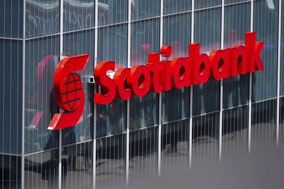 ScotiaBank Banner
