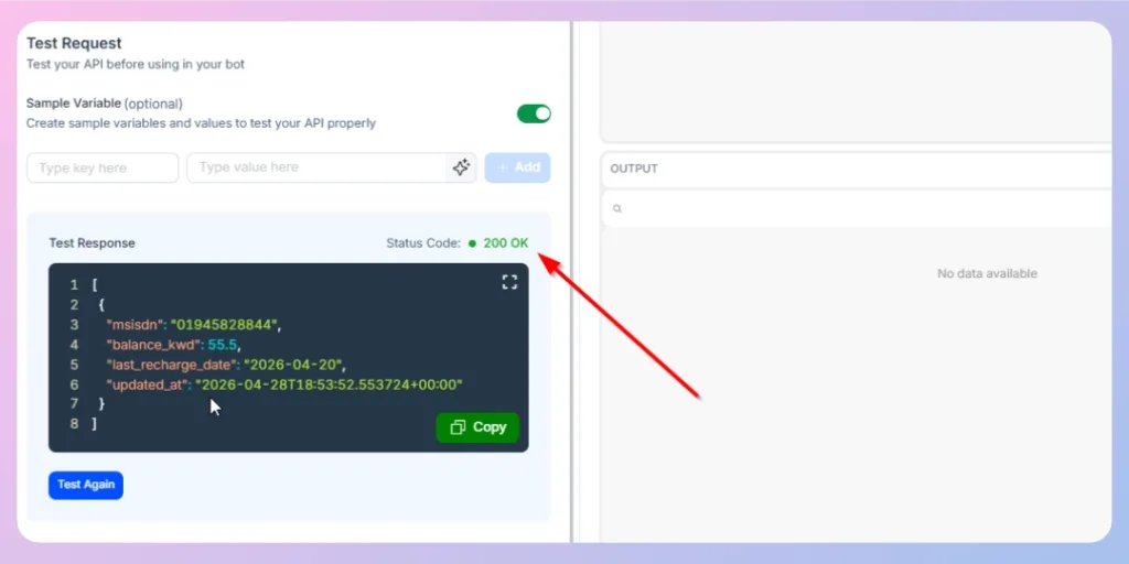 Test the API request