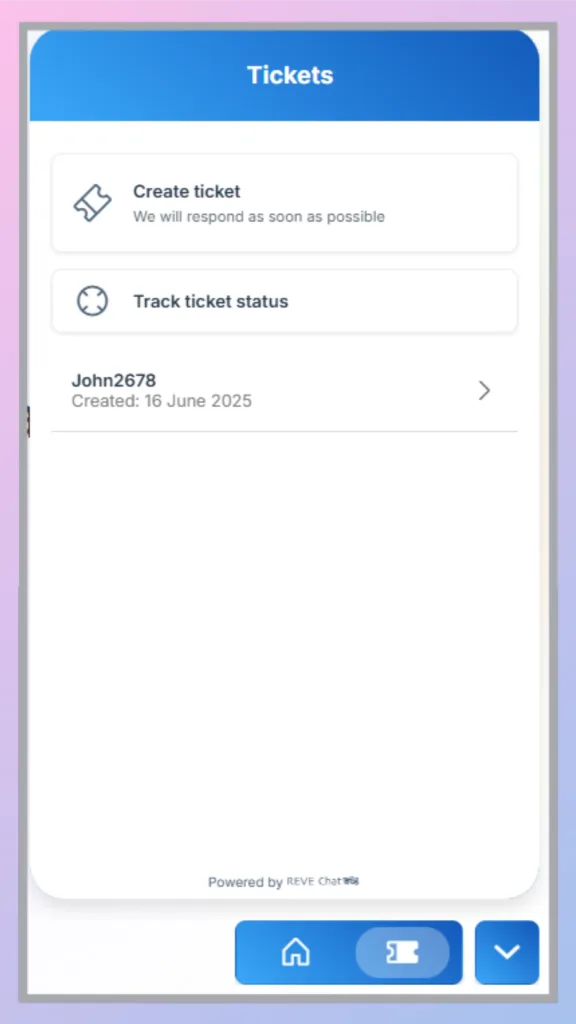 How a Visitor Tracks a Ticket